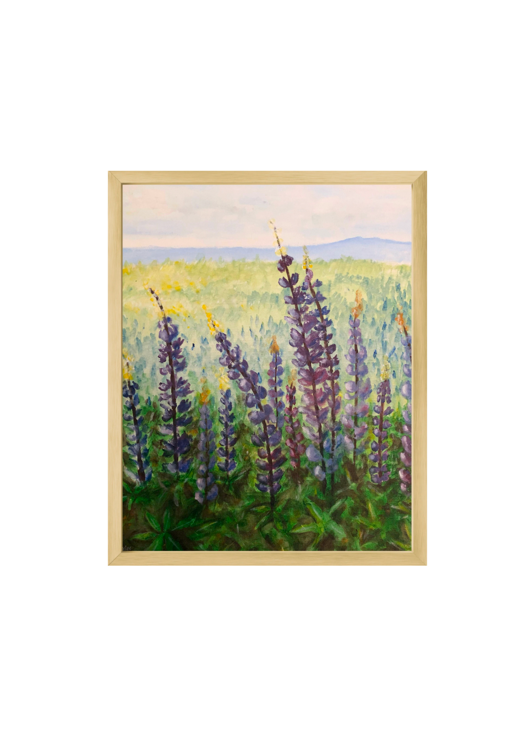 Lupins Fine Art Print
