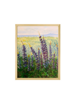 Lupins Fine Art Print