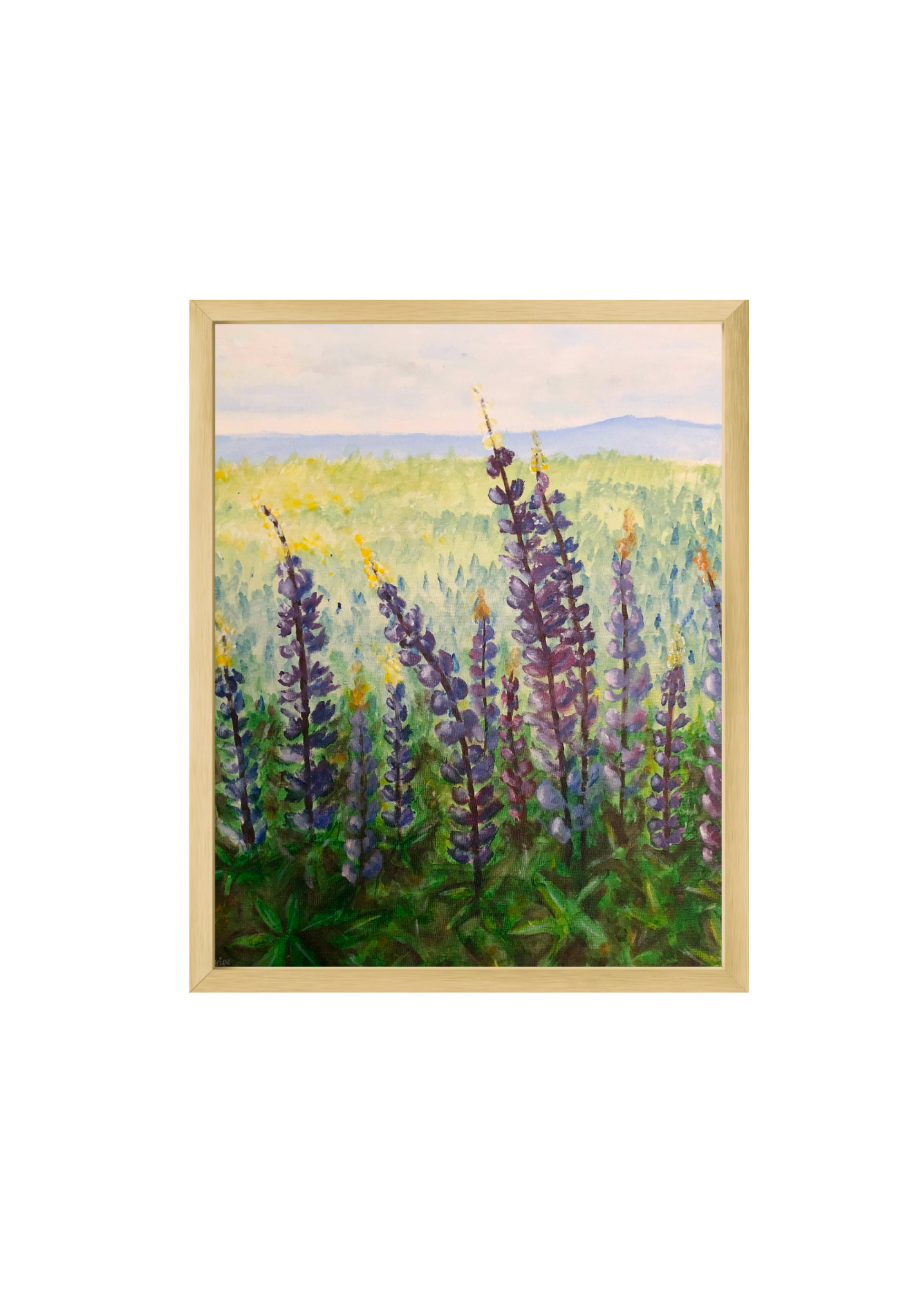 Lupins Fine Art Print