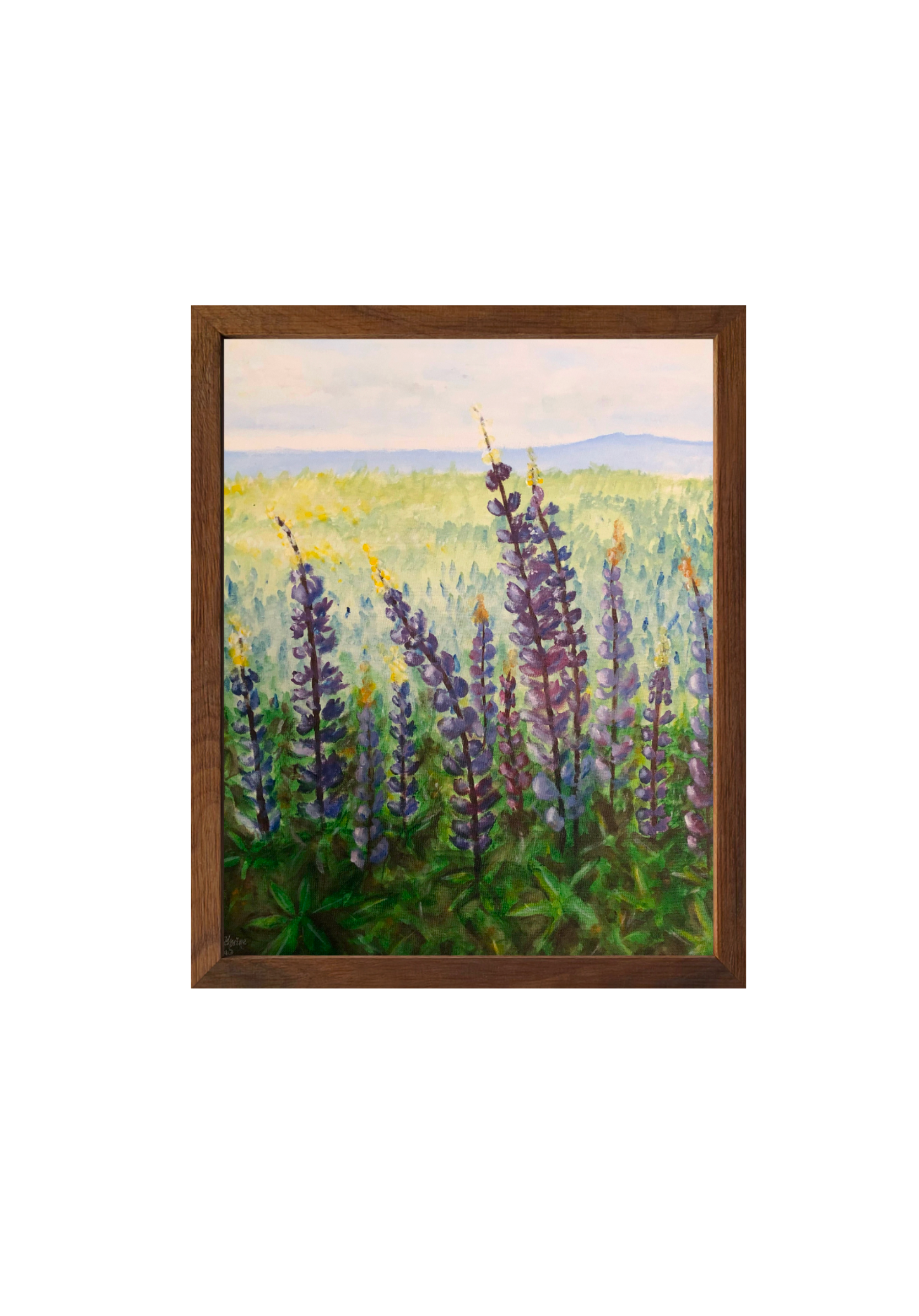 Lupins Fine Art Print