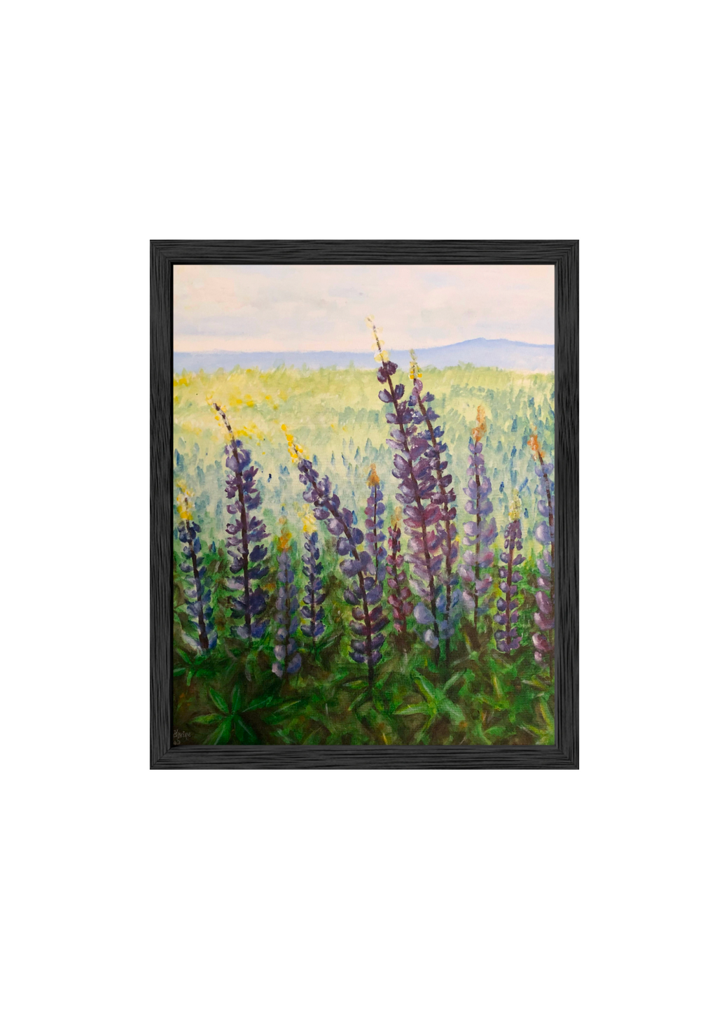 Lupins Fine Art Print