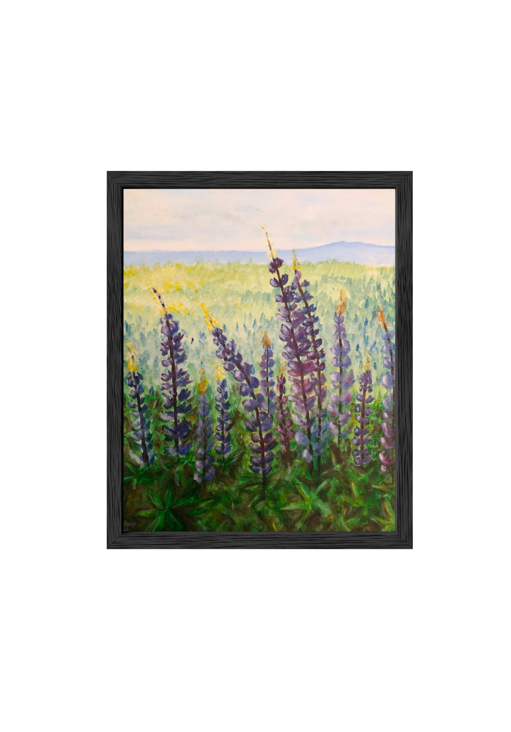 Lupins Fine Art Print